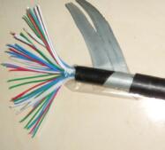 PTYA22，PTY22，PTYV信號(hào)電纜