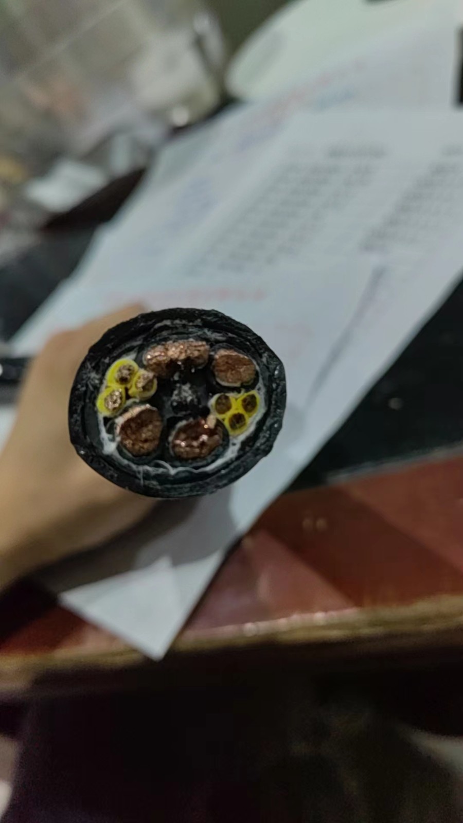 17599710411075.jpg 微信圖片_202402041125274.jpg